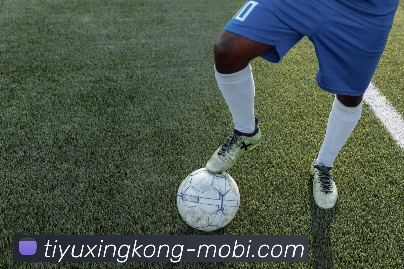 星空体育发展历程